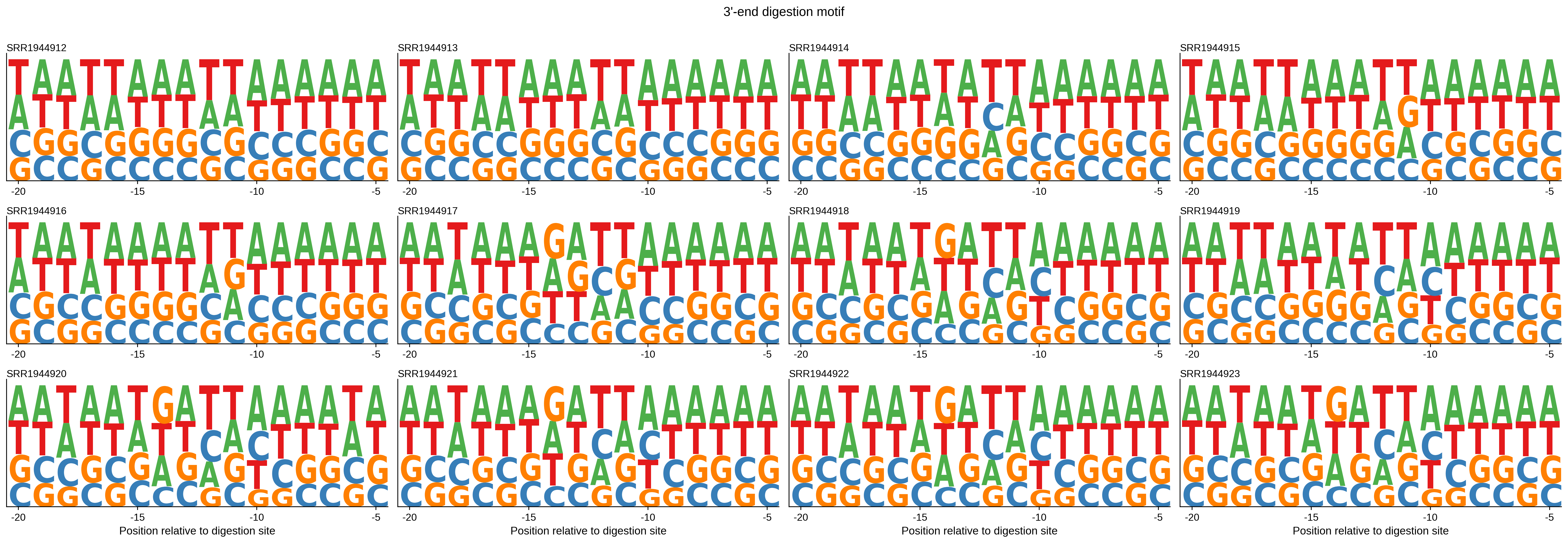 Merged 3' end sequence logos across samples.