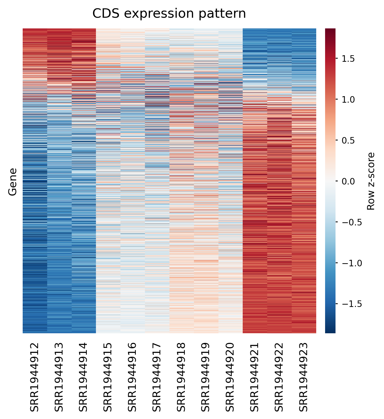 CDS RPM heatmap of top variable genes
