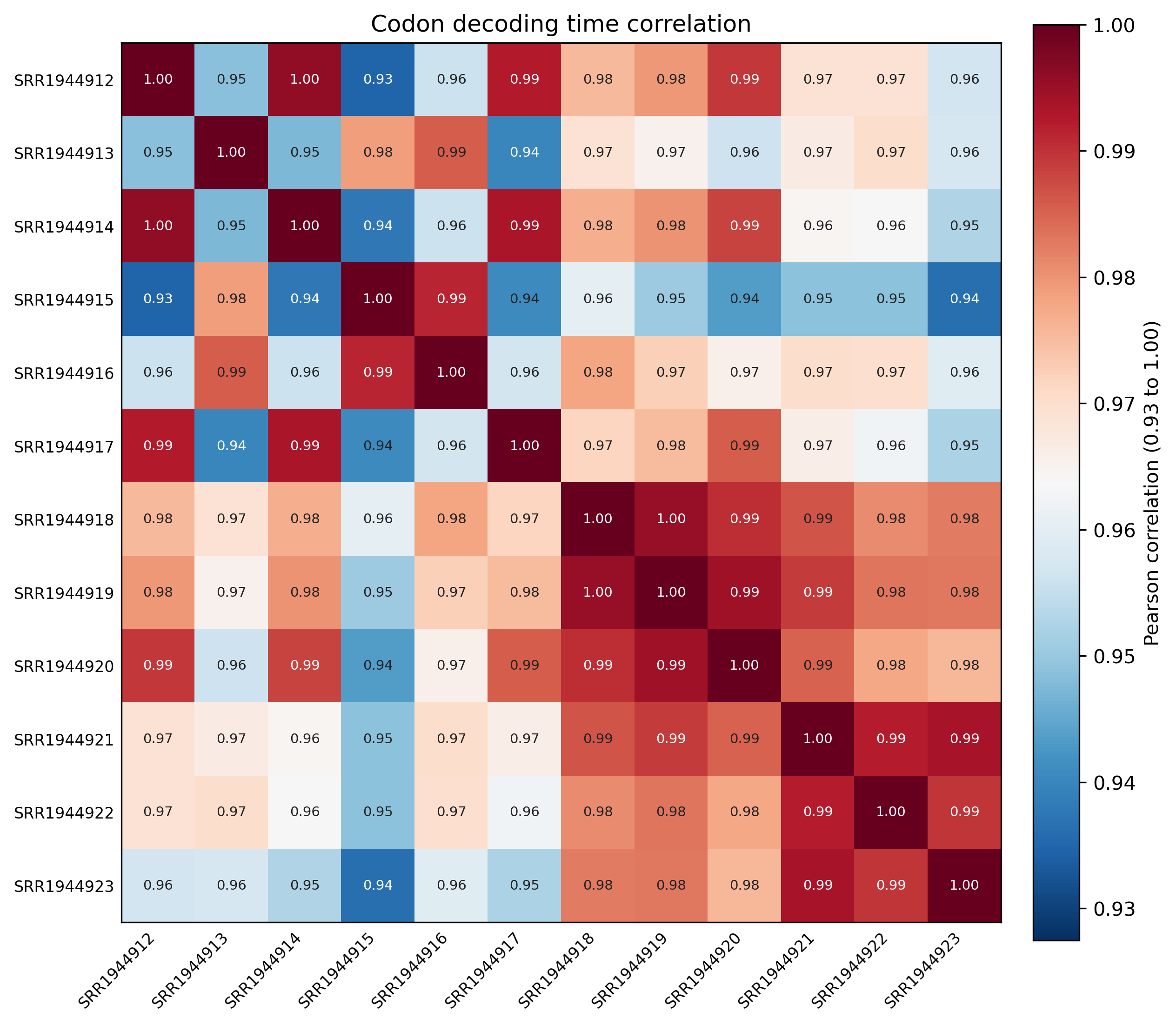 Codon decoding time correlation