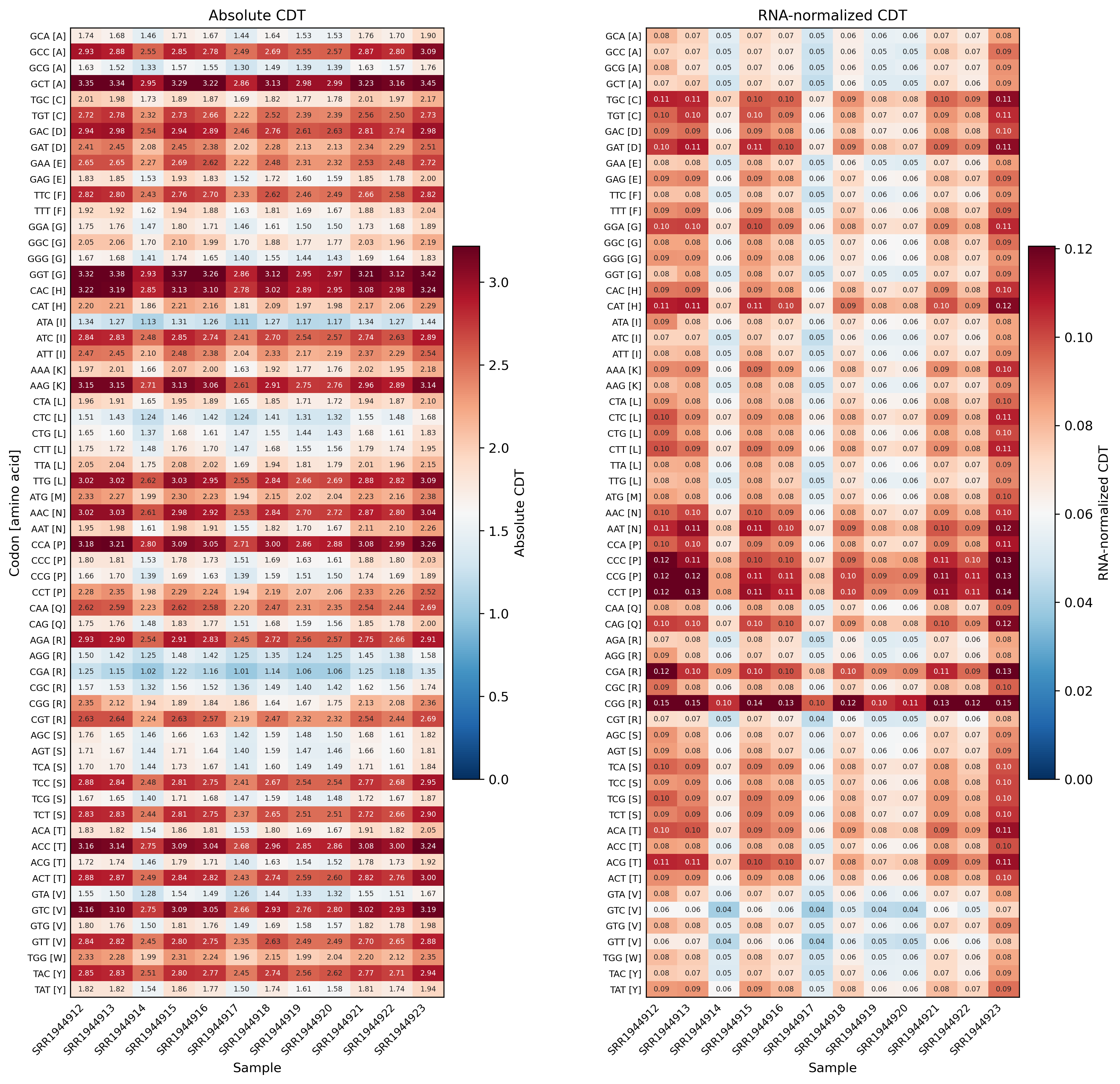 Codon decoding time heatmap