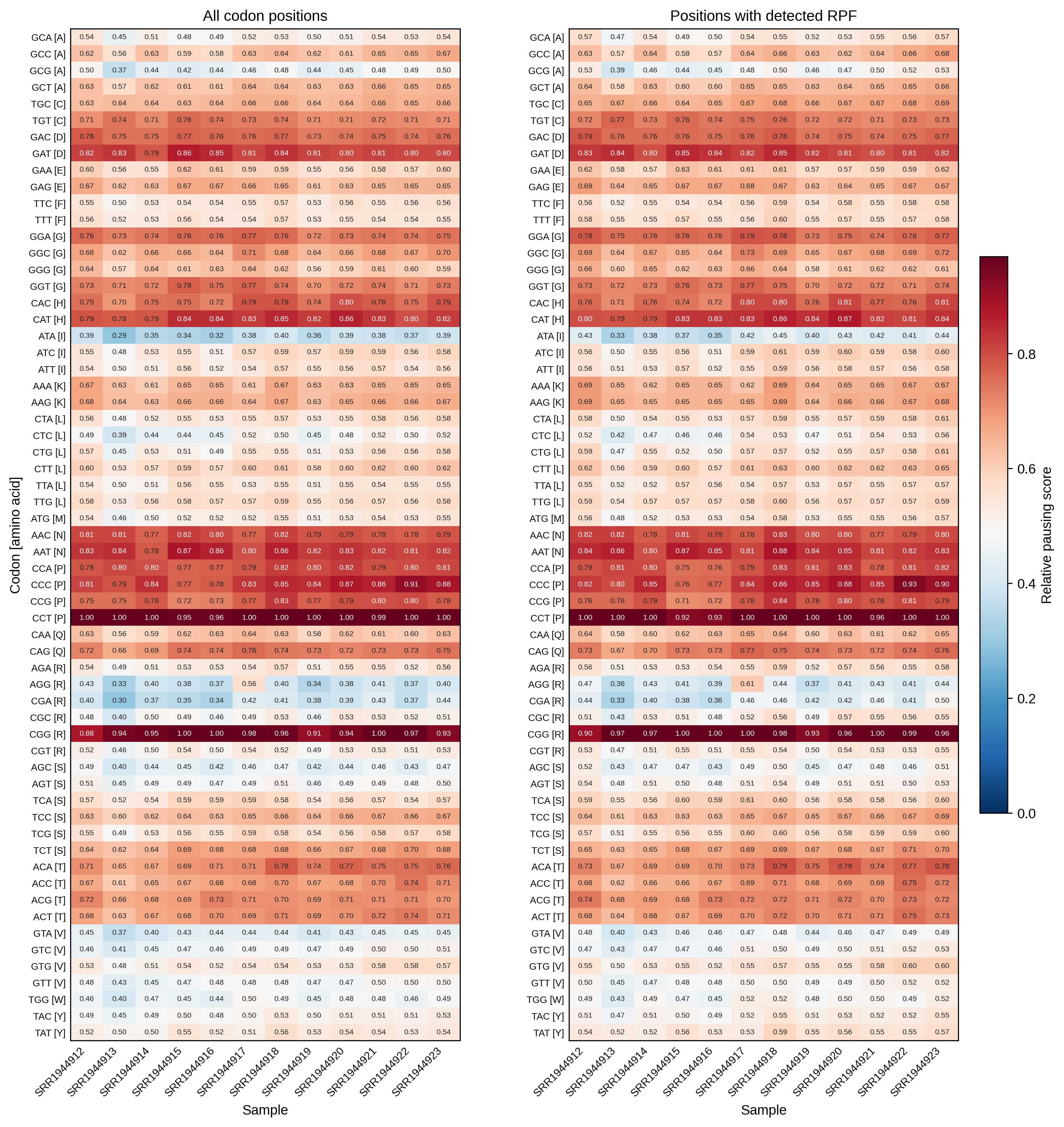 Codon pausing heatmap