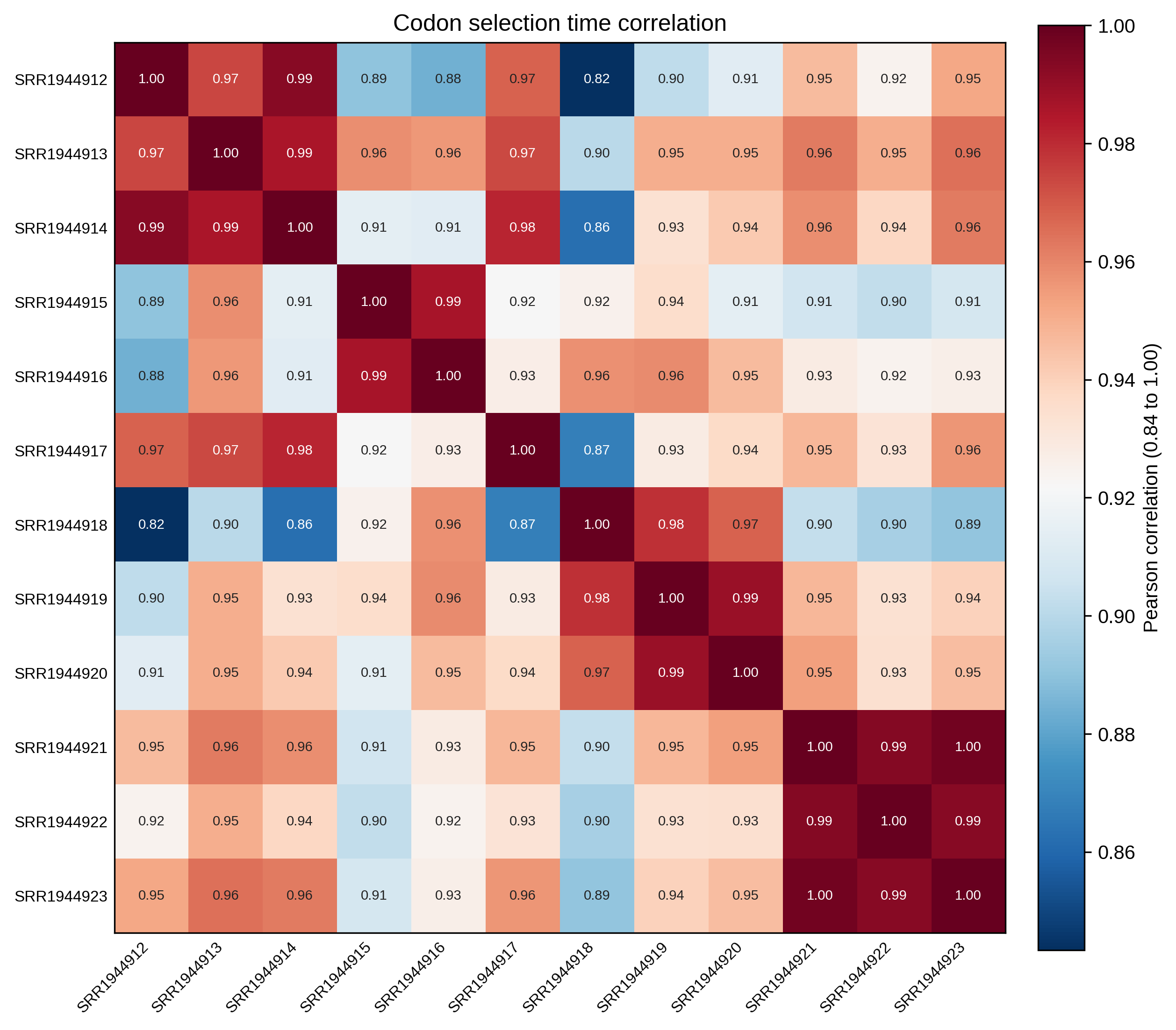 Codon selection time correlation