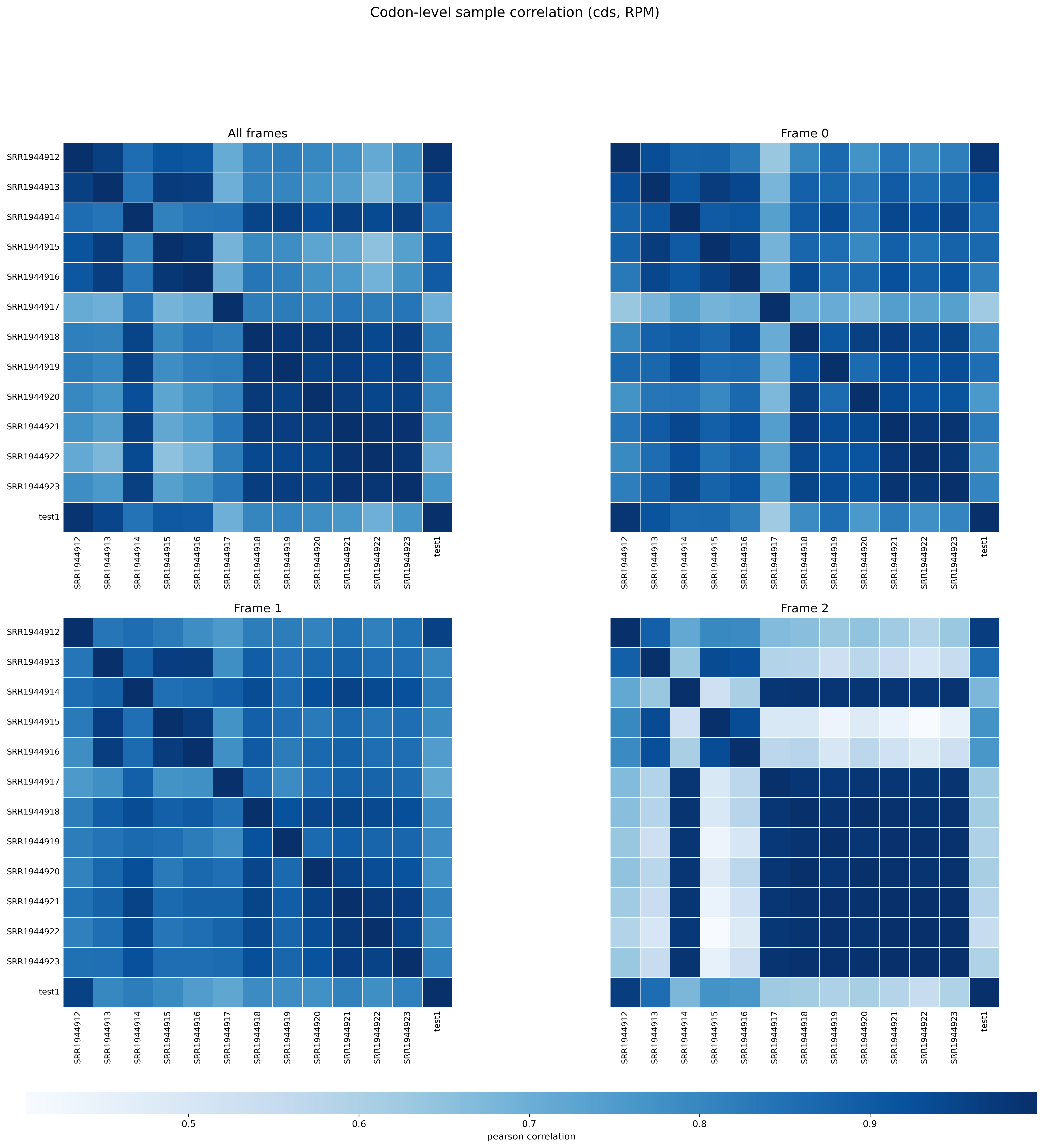 RPF-position-level correlation heatmap